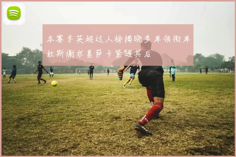 本赛季英超过人榜揭晓多库领衔库杜斯谢尔基萨卡紧随其后